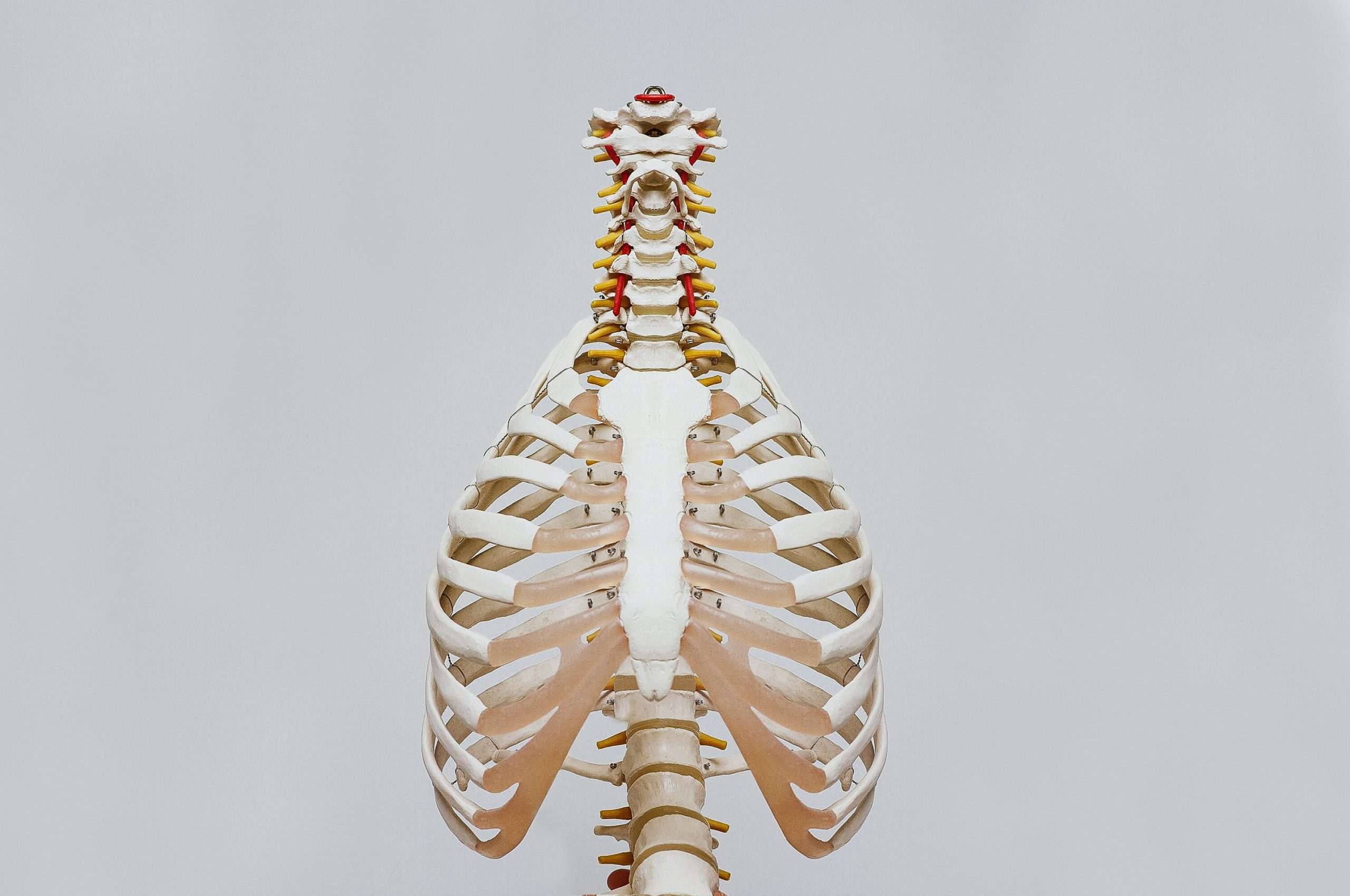 Read more about the article Why is ergonomics important in the last mile?